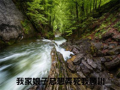 我家娘子总想弄死我顾川（我家娘子总想弄死我顾川）最新章节在线阅读 抖音新书热荐我家娘子总想弄死我顾川