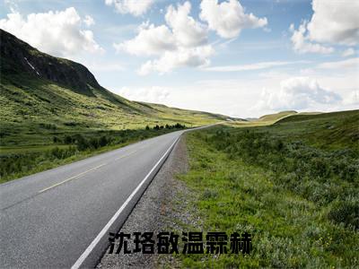 沈珞敏温霖赫（沈珞敏温霖赫全集无弹窗阅读）沈珞敏温霖赫已完结小说全集完整版大结局笔趣阁（沈珞敏温霖赫）最新章节列表_笔趣阁