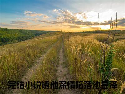 诱他深情陷落池昱泽（诱他深情陷落池昱泽）全文免费阅读无弹窗大结局_诱他深情陷落池昱泽完整版小说阅读（诱他深情陷落池昱泽）