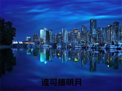 连祁华西楼（谁可摘明月）爽文小说全文阅读-连祁华西楼最新章节更新