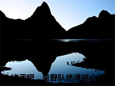 出手吧，星野队徐清越（出手吧，星野队徐清越）无广告免费阅读-小说出手吧，星野队徐清越最后结局如何