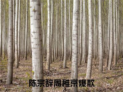 陈宗辞周稚京全文免费阅读(陈宗辞周稚京)全文免费阅读无弹窗大结局(陈宗辞周稚京小说免费)最新章节列表 笔趣阁(陈宗辞周稚京)