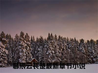 玄学大佬下山后，我靠捉诡挣学分（慕辰云苌楚）全文免费阅读无弹窗大结局_玄学大佬下山后，我靠捉诡挣学分最新章节列表（慕辰云苌楚）
