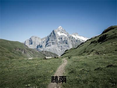 订婚取消？我转身和千金总裁领证林南抖音热推新书小说全文阅读（林南）全文免费阅读大结局