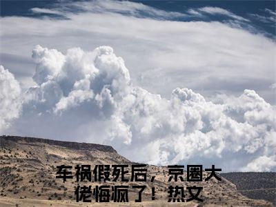 车祸假死后，京圈大佬悔疯了！（沈棠溪霍韶霆）全文阅读_小说车祸假死后，京圈大佬悔疯了！免费阅读（沈棠溪霍韶霆）笔趣阁