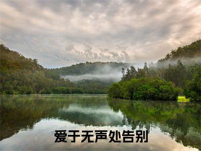 爱于无声处告别全文免费阅读无弹窗大结局_（宋清栀楼宴西）爱于无声处告别小说免费阅读完整版全文大结局