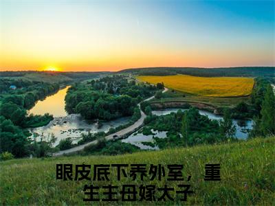 江楚薇（眼皮底下养外室，重生主母嫁太子）最新章节在线阅读-老书虫推荐江楚薇小说