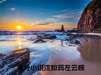 沈如筠左云桉（被退婚？嫡长女她可是权臣白月光）全文免费阅读无弹窗无删减_小说（沈如筠左云桉）被退婚？嫡长女她可是权臣白月光最新章节列表笔趣阁