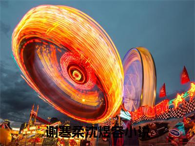 谢寒柔沈煜容小说全文阅读无弹窗大结局_（谢寒柔沈煜容）最新章节列表_笔趣阁