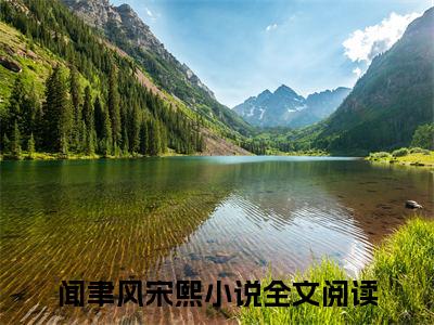 重来一次，她再也不想和他有任何瓜葛了是什么小说-闻聿风宋熙免费小说在线阅读