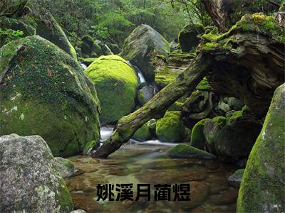 姚溪月蔺煜（离婚后，姚小姐的马甲藏不住了）全文免费阅读无弹窗大结局_离婚后，姚小姐的马甲藏不住了小说最新章节列表_笔趣阁（姚溪月蔺煜）