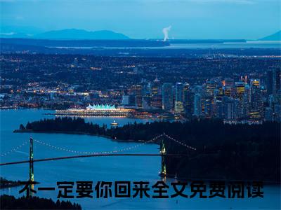 不一定要你回来（秦芷薏邵浔辞小说）在线阅读全文-秦芷薏邵浔辞小说免费阅读完结版全文