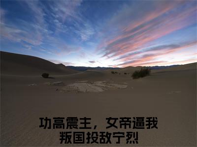 功高震主，女帝逼我叛国投敌宁烈（功高震主，女帝逼我叛国投敌宁烈）全文免费阅读无弹窗大结局_功高震主，女帝逼我叛国投敌宁烈全文免费阅读最新章节列表_笔趣阁