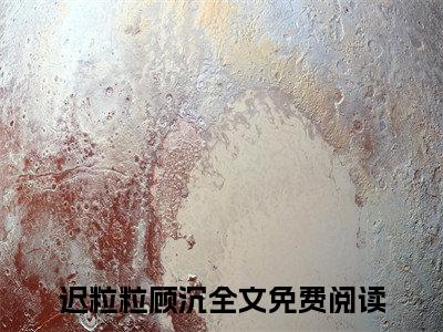 迟粒粒顾沉小说在线阅读全文免费阅读无弹窗大结局_迟粒粒顾沉小说免费最新章节列表_笔趣阁