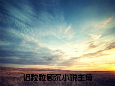 迟粒粒顾沉免费阅读无弹窗最新章节列表_笔趣阁(迟粒粒顾沉)