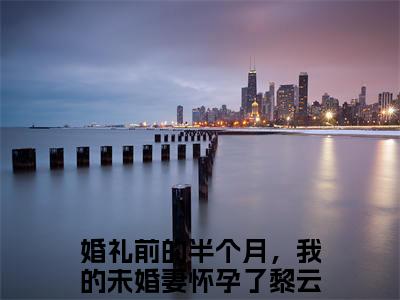 婚礼前的半个月，我的未婚妻怀孕了黎云泽小说全文免费阅读，婚礼前的半个月，我的未婚妻怀孕了黎云泽完整版