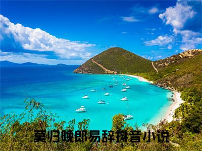【新书】《饥荒年，万兽拜，团宠龙神三岁半！》全文免费阅读无弹窗大结局-莫归晚郎易辞全文全章节免费阅读