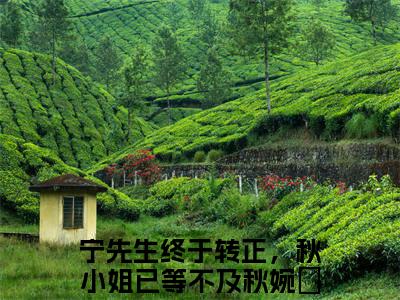 秋婉玗宁一宸小说免费阅读宁先生终于转正，秋小姐已等不及免费阅读无弹窗小说