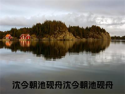 沈今朝池砚舟全文免费阅读无弹窗大结局_（沈今朝池砚舟）沈今朝池砚舟热门章节在线阅读笔趣阁（沈今朝池砚舟）