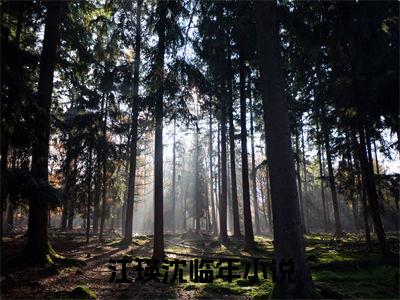 江瑛沈临年免费江瑛沈临年读无弹窗最新章节列表_笔趣阁（江瑛沈临年）