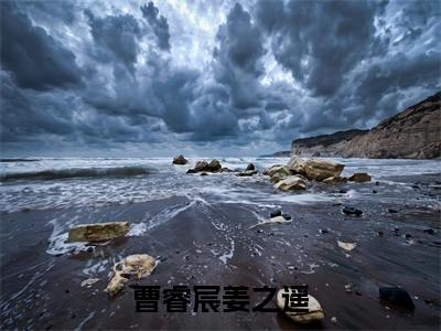 曹睿宸姜之遥（曹睿宸姜之遥）全文在线阅读无弹窗大结局_(曹睿宸姜之遥免费阅读全文大结局)最新章节列表_笔趣阁