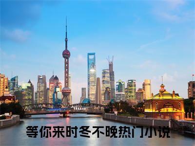 等你来时冬不晚（霍庭昀萧轻雨）免费小说-等你来时冬不晚小说完整版阅读