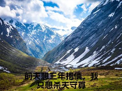 前夫想三年抱俩，我只想杀夫守寡（黎笙顾景淮）在哪免费看-小说（黎笙顾景淮）全文完整版免费阅读前夫想三年抱俩，我只想杀夫守寡
