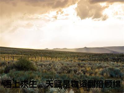 海上求生，天赋是物资翻倍顾绵小说最新试读_小说名是(海上求生，天赋是物资翻倍顾绵)