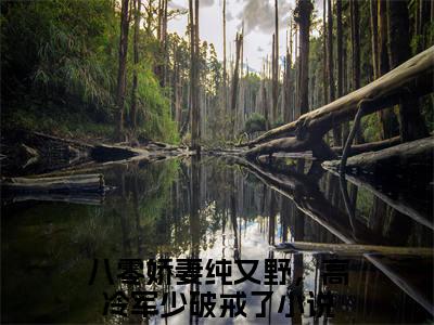 姜梵音沈寒年（八零娇妻纯又野，高冷军少破戒了）全文免费阅读无弹窗大结局-姜梵音沈寒年最新章节列表-笔趣阁