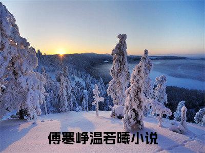 傅寒峥温若曦小说在哪里可以看傅寒峥温若曦在线阅读