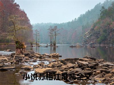 小说苏梅江淮林在线阅读-正版小说《淮林落梅梦不成》苏梅江淮林全文阅读