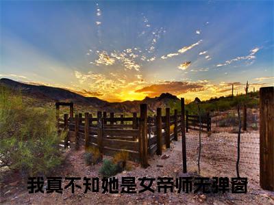 我真不知她是女帝师小说（苏霆舟柳映荷）全文免费阅读无弹窗大结局_我真不知她是女帝师小说免费阅读_笔趣阁（苏霆舟柳映荷小说）