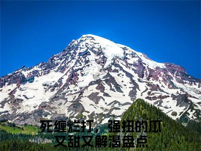 死缠烂打，强扭的瓜又甜又解渴（白夕颜权枭景最新全章节大结局）全文阅读