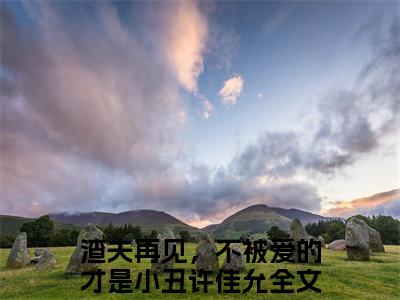 渣夫再见，不被爱的才是小丑许佳允（渣夫再见，不被爱的才是小丑许佳允）小说全文-渣夫再见，不被爱的才是小丑许佳允无弹窗免费阅读