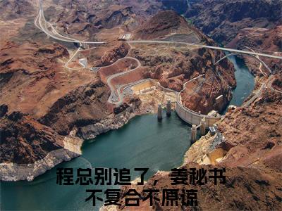 程总别追了，姜秘书不复合不原谅的小说（姜心仪程安北）免费阅读_程总别追了，姜秘书不复合不原谅小说免费阅读-笔趣阁（姜心仪程安北）