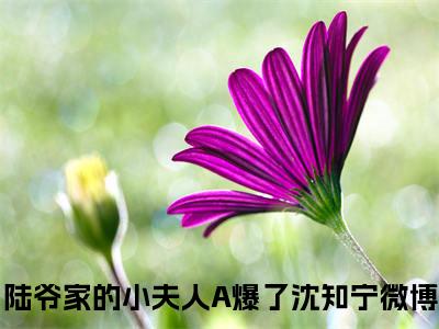 陆爷家的小夫人A爆了沈知宁（陆爷家的小夫人A爆了沈知宁）全文免费阅读无弹窗大结局_陆爷家的小夫人A爆了沈知宁小说全文免费阅读最新章节列表_笔趣阁（陆爷家的小夫人A爆了沈知宁）