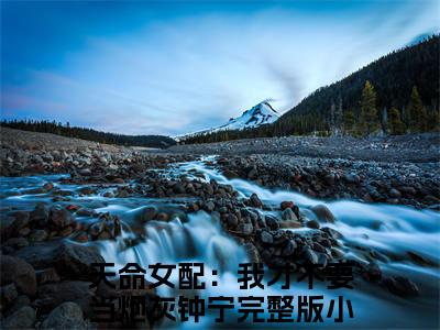 天命女配：我才不要当炮灰钟宁（天命女配：我才不要当炮灰钟宁全文免费）小说全文免费阅读无弹窗大结局_(天命女配：我才不要当炮灰钟宁免费阅读）天命女配：我才不要当炮灰钟宁最新章节列表_笔趣阁（天命女配：我才不要当炮灰钟宁）