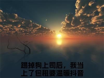 踢掉狗上司后，我当上了包租婆温暖（踢掉狗上司后，我当上了包租婆温暖）完结版小说-踢掉狗上司后，我当上了包租婆温暖小说全文阅读