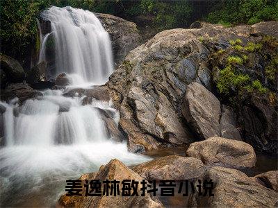 姜逸林敏（我的神差大人）全文免费阅读无弹窗大结局_（我的神差大人无弹窗）全文完整版免费阅读