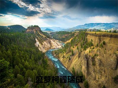 盛梦柯阎瑞成全文（盛梦柯阎瑞成）抖音热推小说全集无删减_盛梦柯阎瑞成免费最新章节列表_笔趣阁