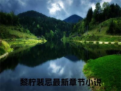 病态给予（黎柠裴忌）小说全文免费阅读-病态给予（黎柠裴忌）免费在线阅读完整版