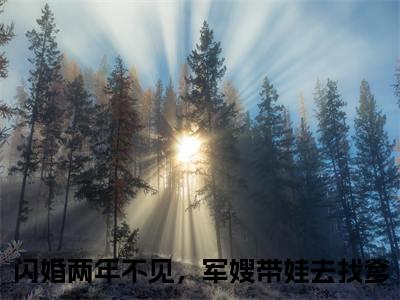 闪婚两年不见，军嫂带娃去找爹（秦衍林宛纾）全文免费阅读无弹窗大结局_（闪婚两年不见，军嫂带娃去找爹阅读全文大结局）秦衍林宛纾最新章节列表