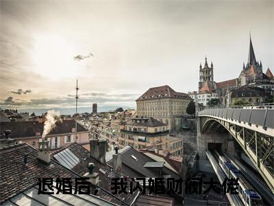 【新书】《退婚后，我闪婚财阀大佬》全文免费阅读无弹窗大结局-范钥顾景阳全文全章节免费阅读