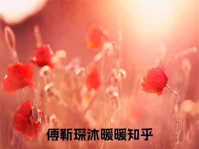 离婚后，她成了全球追求对象小说（傅靳琛沐暖暖）全文免费阅读无弹窗大结局_傅靳琛沐暖暖小说免费阅读无弹窗最新章节列表