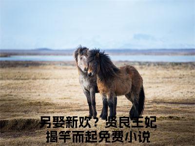人气小说另娶新欢？贤良王妃揭竿而起在线阅读-正版小说《另娶新欢？贤良王妃揭竿而起》顾曜缨宋菀宁全文阅读