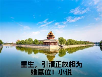 重生，引清正权相为她篡位！在线阅读（叶皖宁陆九章小说）全文免费阅读无弹窗大结局_重生，引清正权相为她篡位！免费最新章节列表