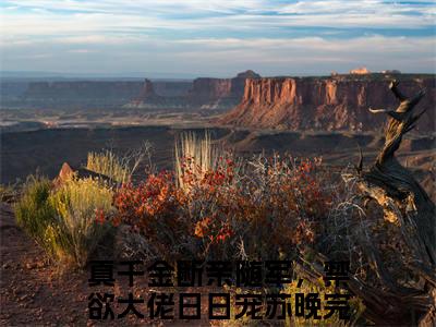 真千金断亲随军，禁欲大佬日日宠苏晚：结局+番外（真千金断亲随军，禁欲大佬日日宠苏晚）全文免费无弹窗大结局_(真千金断亲随军，禁欲大佬日日宠苏晚免费真千金断亲随军，禁欲大佬日日宠苏晚：结局+番外读全文大结局)最新章节列表_笔趣阁真千金断亲随军，禁欲大佬日日宠苏晚：结局+番外