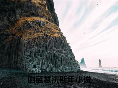 谢蓝慧沈斯年：结局+番外（谢蓝慧沈斯年）完结阅读无弹窗大结局_(谢蓝慧沈斯年：结局+番外)最新章节列表_笔趣阁（谢蓝慧沈斯年）
