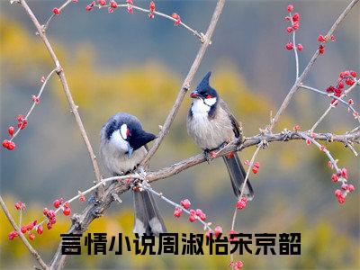 周淑怡宋京韶（周淑怡宋京韶）免费阅读-小说周淑怡宋京韶免费观看