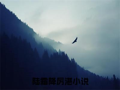 陆霜降厉湛（八零：分居三年，随军大院孕三宝小说）全文免费阅读无弹窗大结局_八零：分居三年，随军大院孕三宝小说最新章节列表
